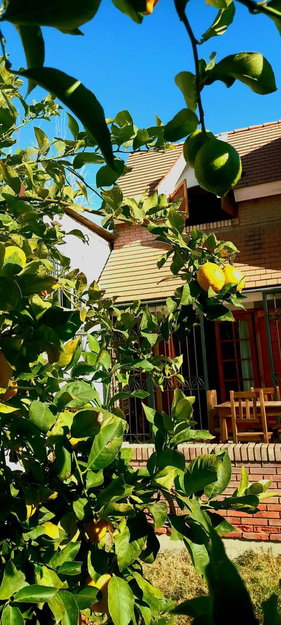 Casa Bravo Bed & Breakfast Mendoza Dış mekan fotoğraf